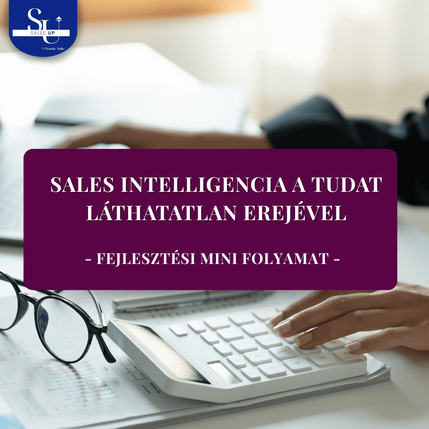 Sales Intelligencia  a tudat láthatatlan erejével - fejlesztési mini folyamat
